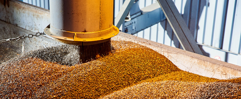 Anderson Maximizing crush margins in oilseed processing