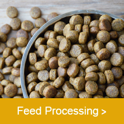 Anderson-feed-processing-2