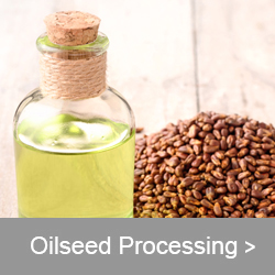 Anderson-oilseed-processing