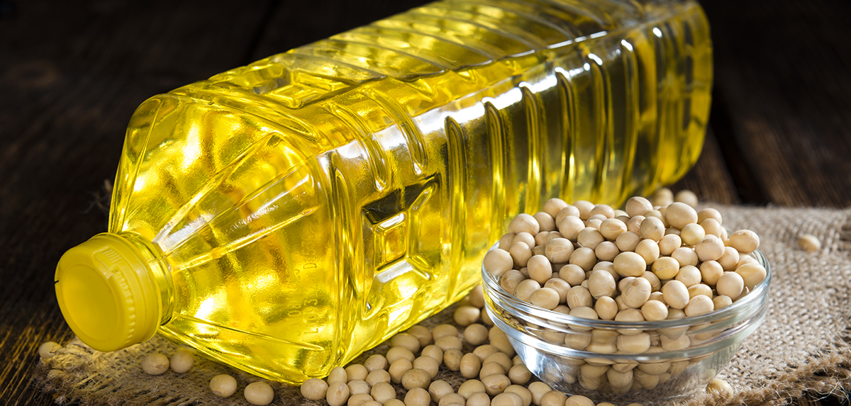 oilseed