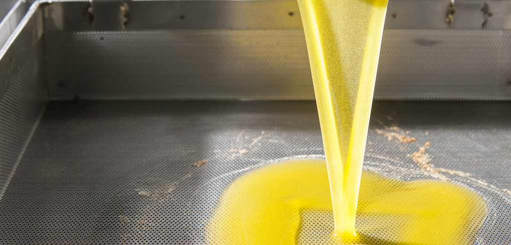 Olive oil pouring down into a decanter