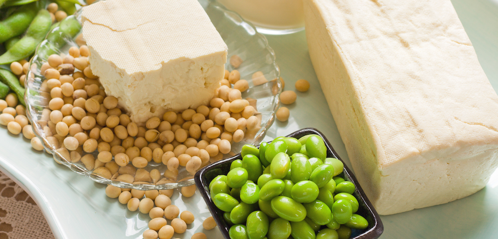 Blocks of tofu, shelled, and unshelled soybean on a table