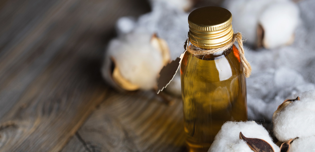 Gossypol in cottonseed meal. Image of cottonseed oil on wood table with cottonseed surrounding.