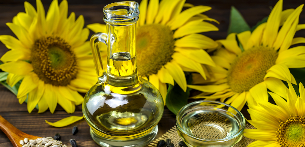 High Oleic Sunflower oil in a bottle and sunflower seeds near fresh sunflower flower on a wooden background. 