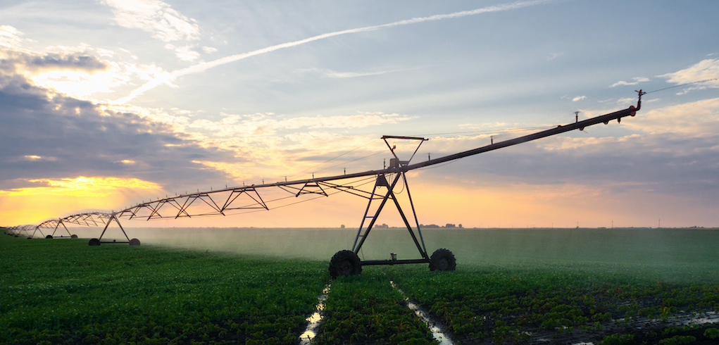 Irrigation system watering soybean field