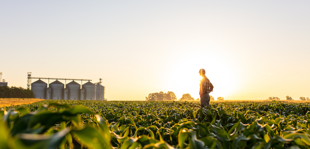 Farmer standing on corn field against sky with silos in background