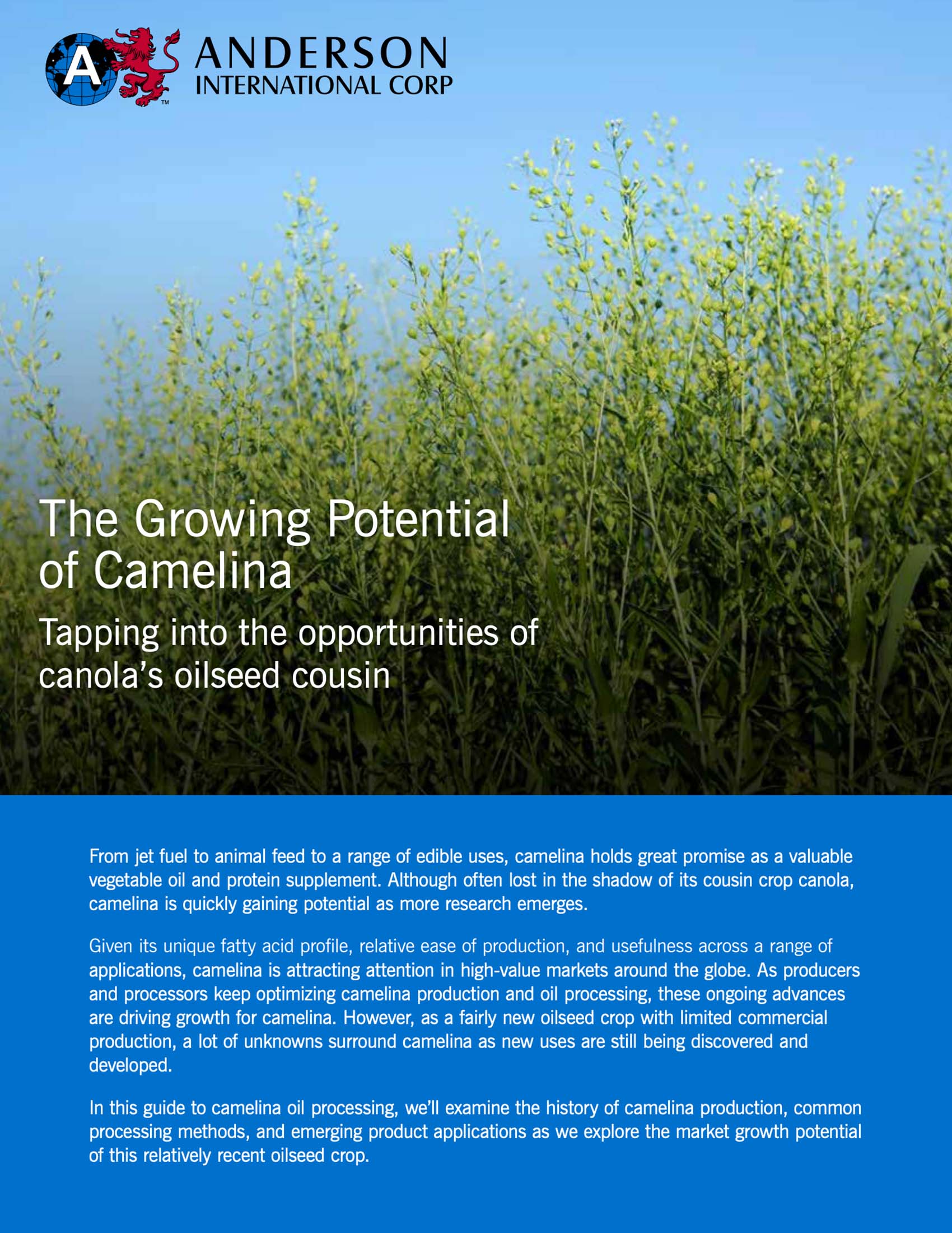 The Growing Potential of Camelina Anderson International Corp