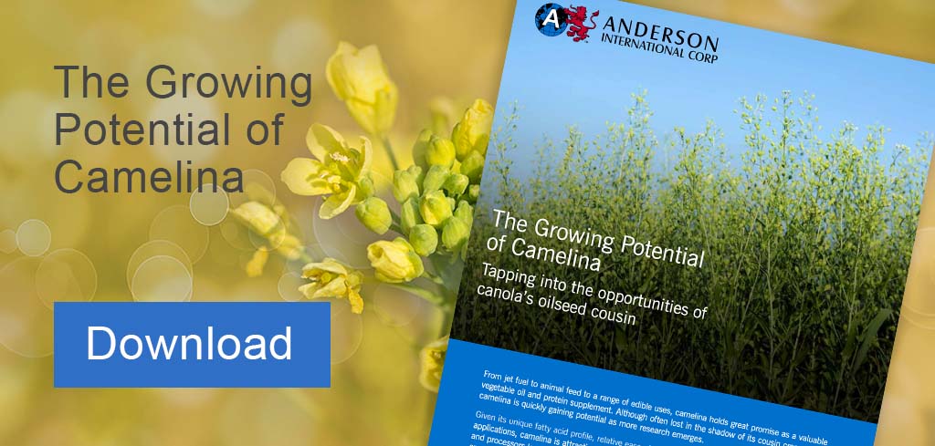 anderson-camelina-cta