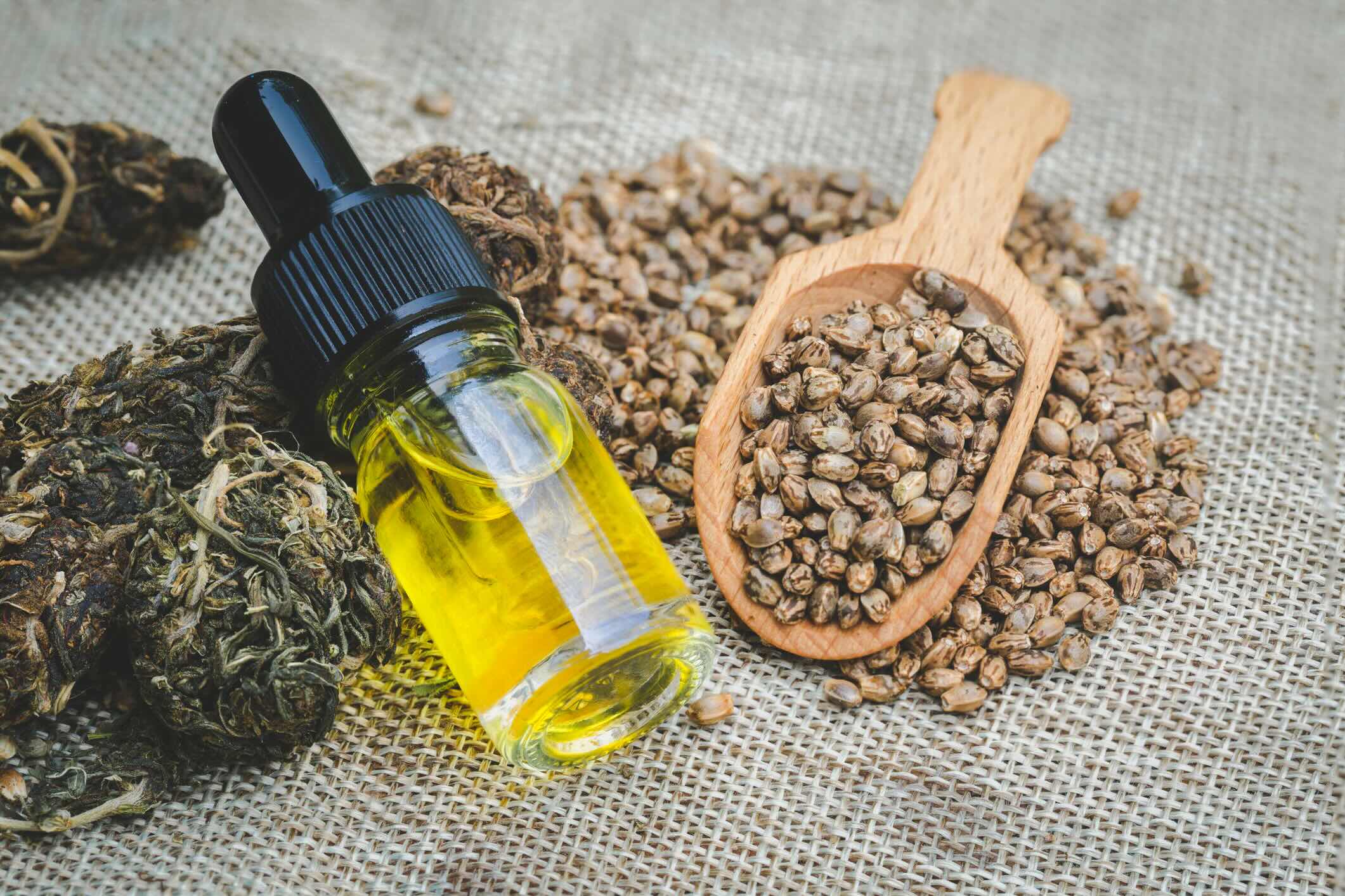 Hemp Oil vs CBD Oil: The Difference Between Seed Oil and Cannabis Oil -  Anderson International Corp